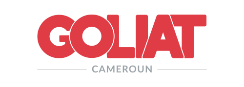 Assistante Commerciale – Douala profile picture