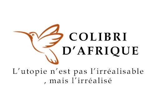 Bibliothèque Les Colibris d'Afrique