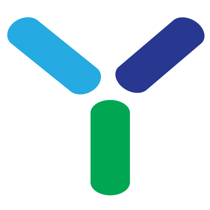 Ydéale Consulting Company Logo