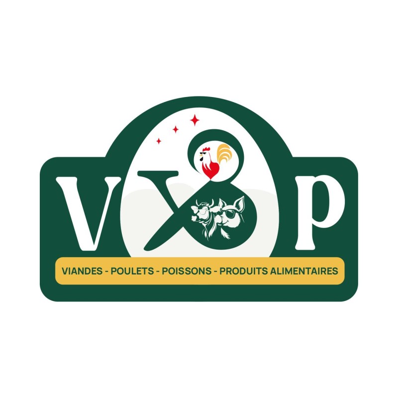 V3P SARL Logo
