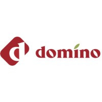 Domino International Company Logo