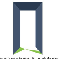 E Mining Venture and Advisory Plc (EMVA) Company Logo