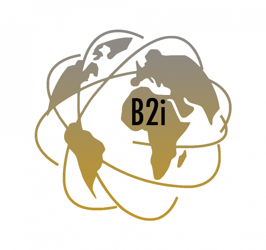 B2I GROUP AFRICA Logo
