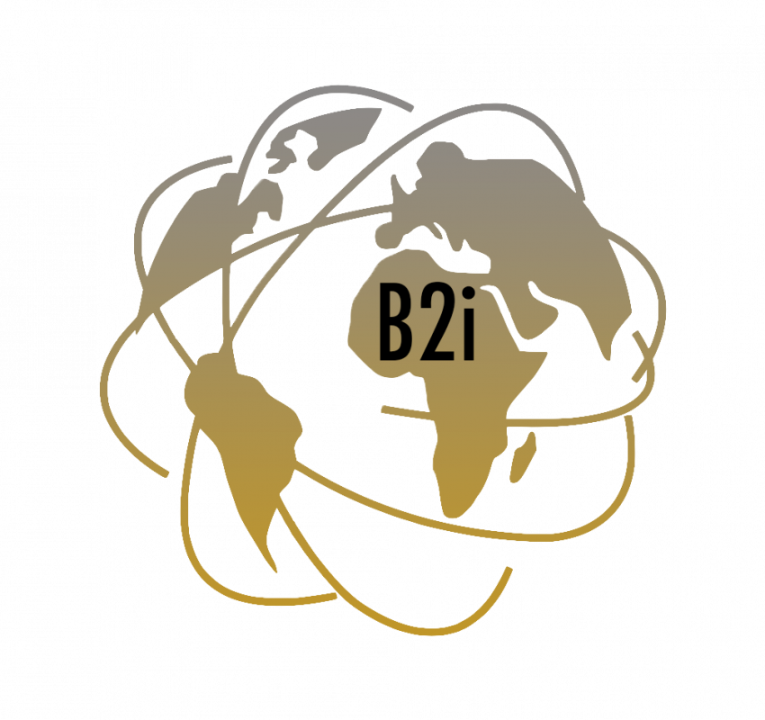 B2I GROUP AFRICA Company Logo