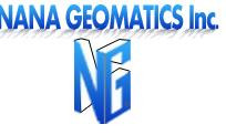 NANA GEOMATICS SARL Logo