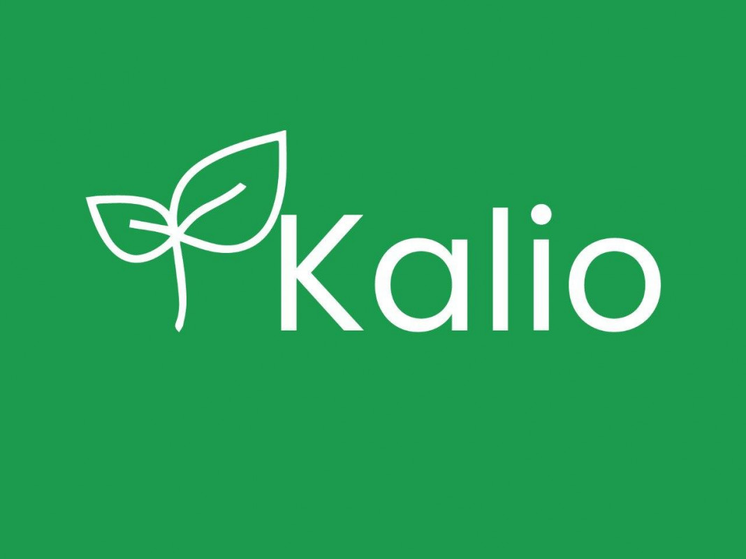 KALIO Company Logo