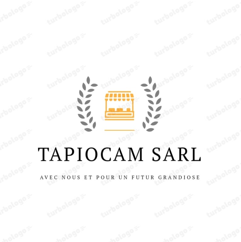 TAPIOCAM SARL Company Logo