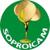 SOPROICAM Logo