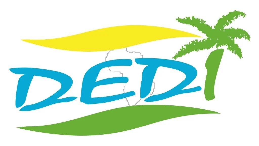 Développement Équité Durabilité et Innovation( DEDI) Company Logo