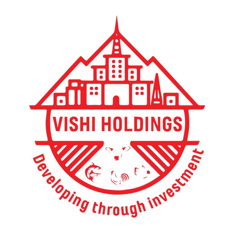 Vishi Holdings Company Logo