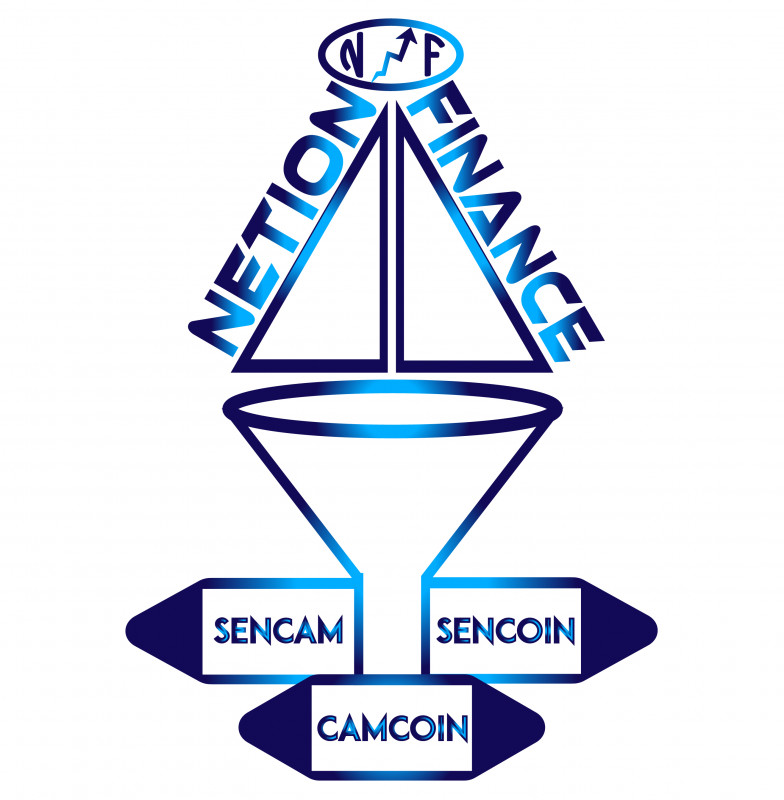 NETION FINANCE Logo