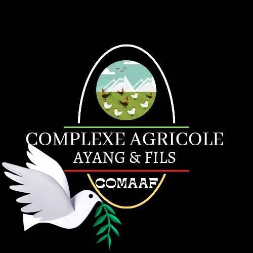 COMAAF ÉMERGENCE + Company Logo