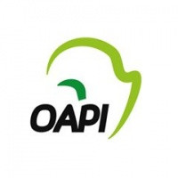 OAPI Logo