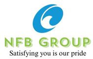 NFB GROUP CONSULTING SERVICES SARL Logo