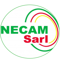 NECAM S.A.R.L Logo