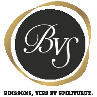 BVS GROUP Logo
