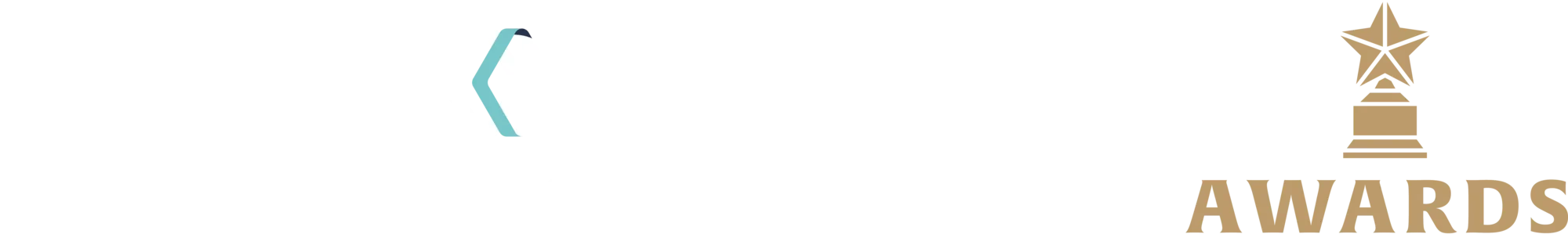 The Corporate Awards Logo