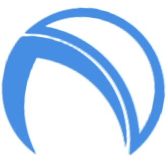 Next Shop Express Company Logo
