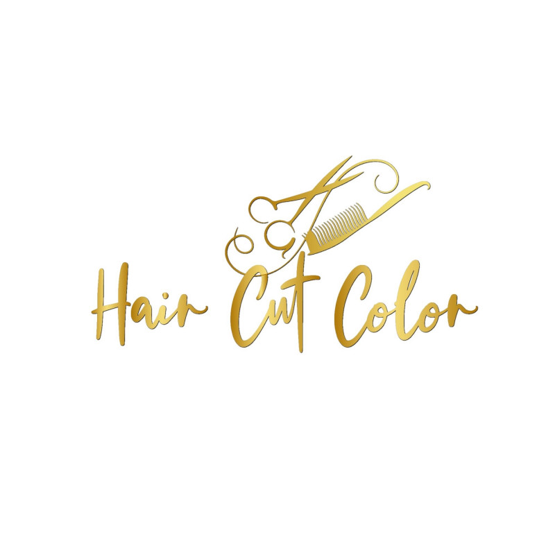 Hair Cut Color Company Logo