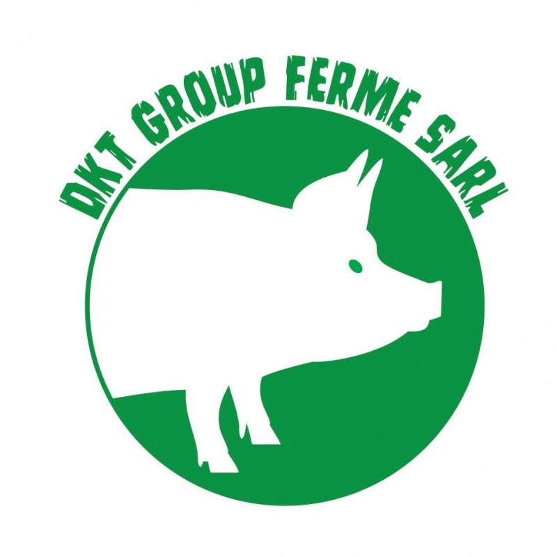 DKT GROUP FERME SARL Logo