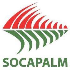 SOCIETE CAMEROUNAISE DE PALMERAIES - SOCAPALM Logo