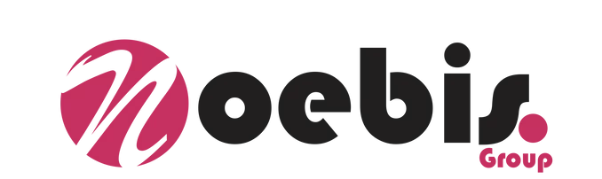 NOEBIS GROUP Logo