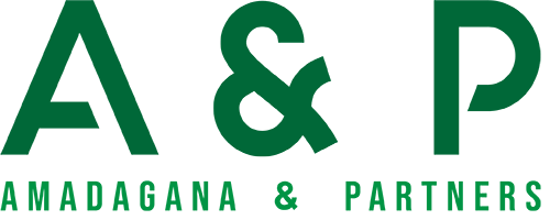 Cabinet AMADAGANA & PARTNERS Logo