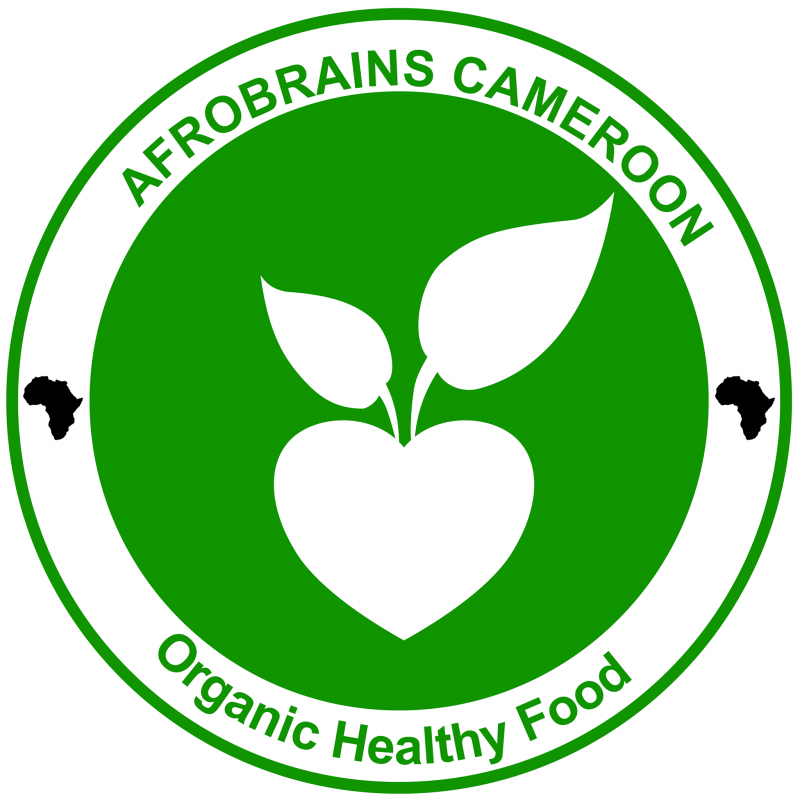 AFROBRAINS CAMEROON Company Logo