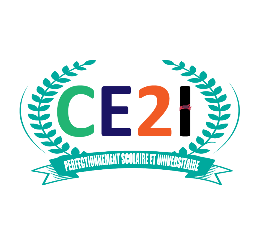 CE2I Company Logo