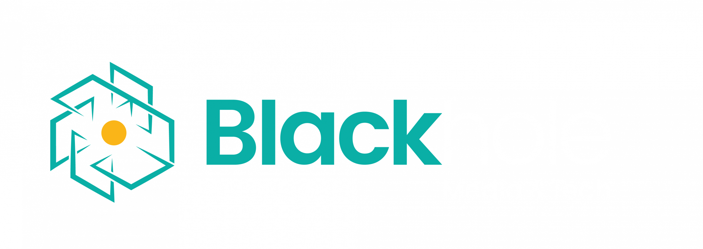 Blackhole Media & Tech Company Logo