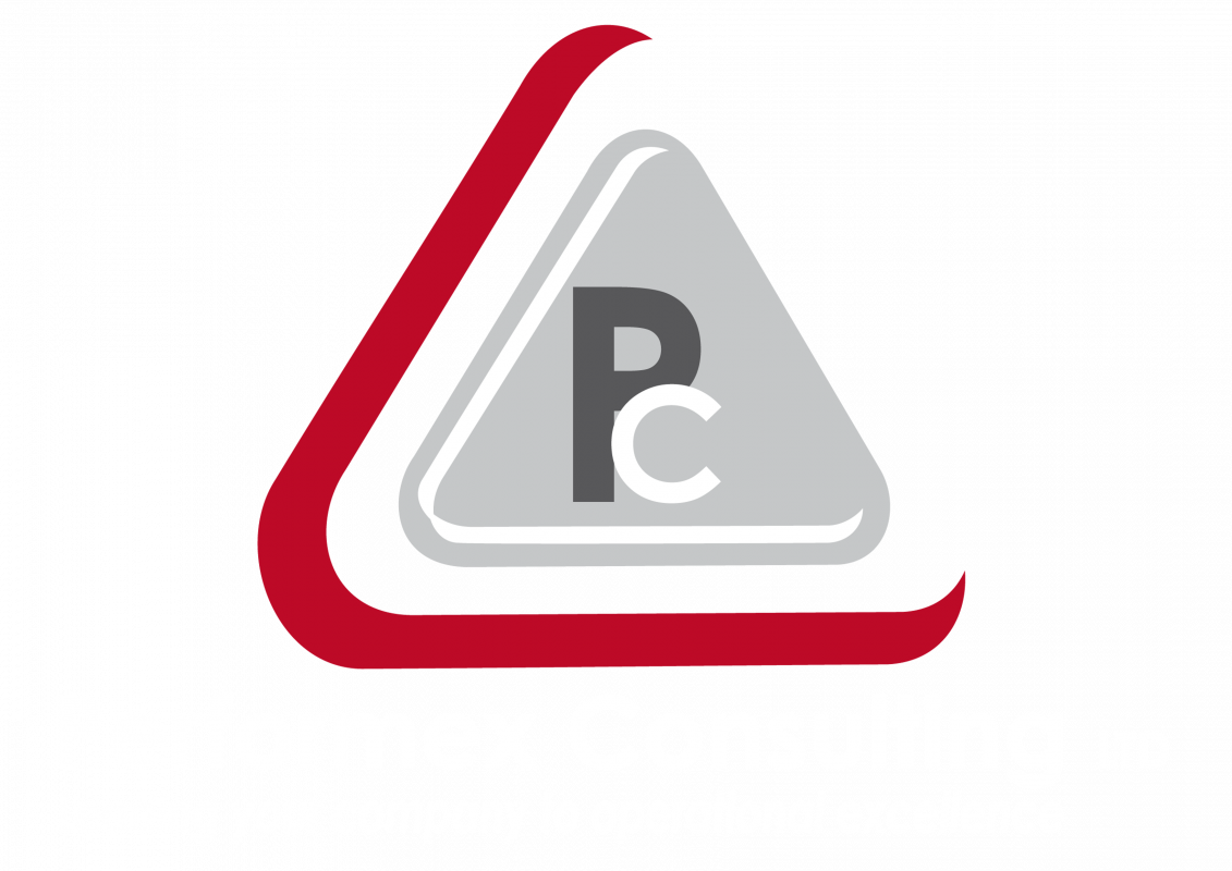 PERFORMEX CONSULTING Ltd Company Logo