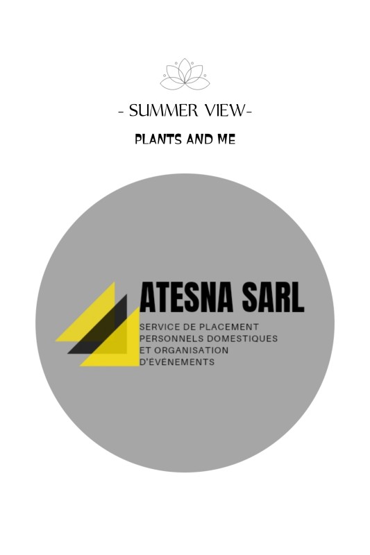 ATESNA SARL Logo