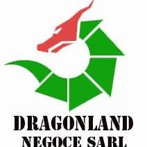 DRAGONLAND NEGOCE SARL Company Logo