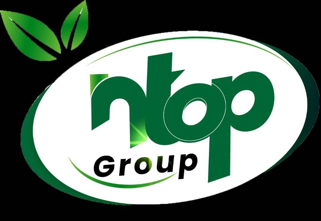NTOP GROUP SARL Logo
