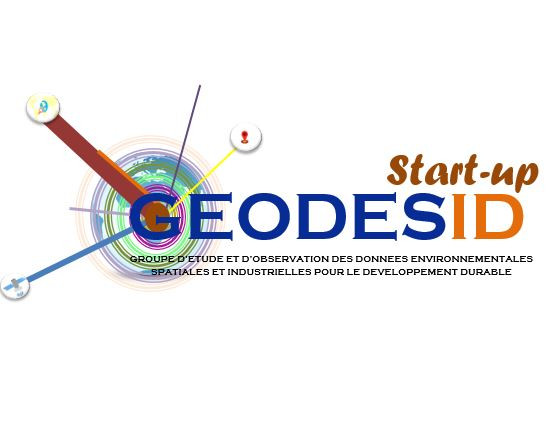 Geodesid Company Logo