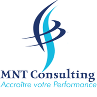 MNT Consulting Logo