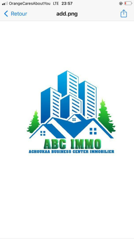 ABC IMMO Company Logo