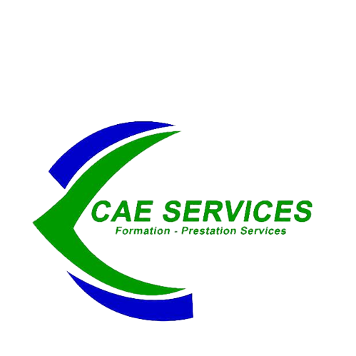 CAE SERVICES IMMIGRATION Logo