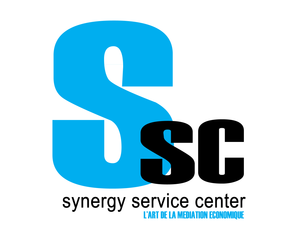 Synergy service center Logo