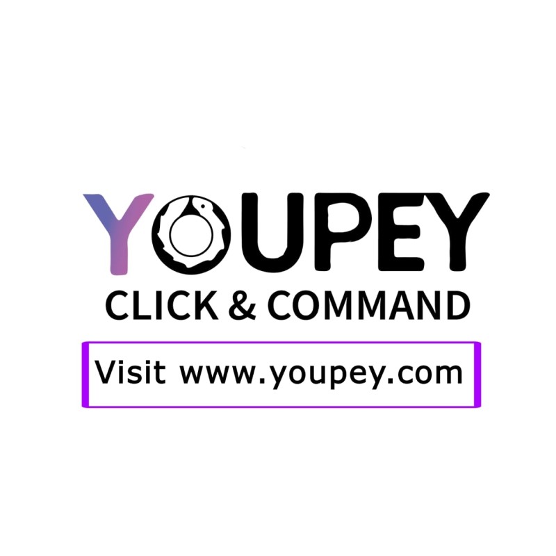 YOUPEY Company Logo