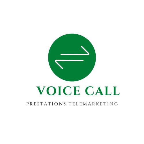 VOICE CALL Company Logo