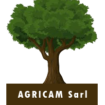 Agro Industrie Cameroun Sarl Logo