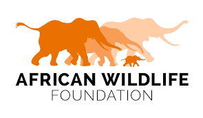 African Wildlife Foundation Company Logo
