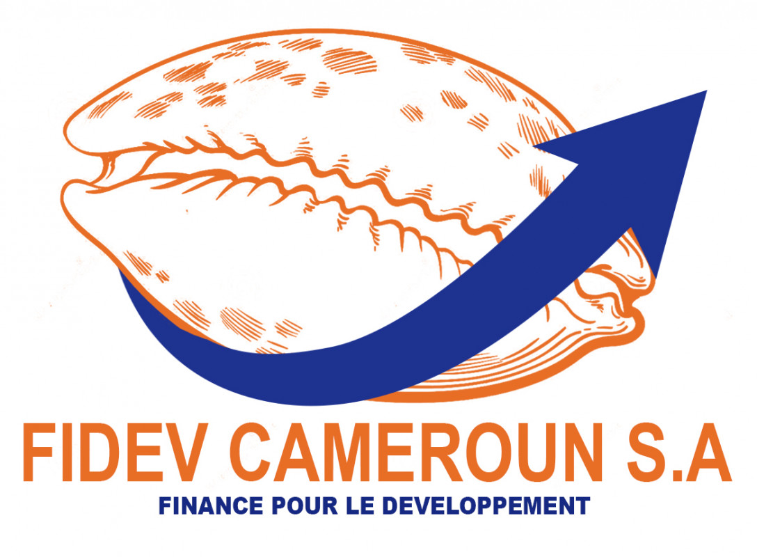 FIDEV CAMEROUN S.A. Company Logo