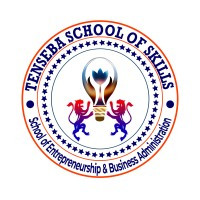 TENSEBA SCHOOL OF SKILLS Company Logo