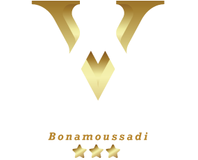 HÔTEL VENDÔME Logo