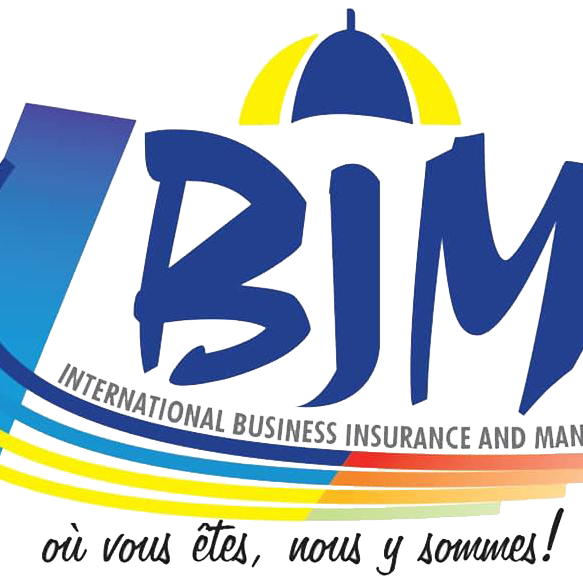IBIM SARL Logo