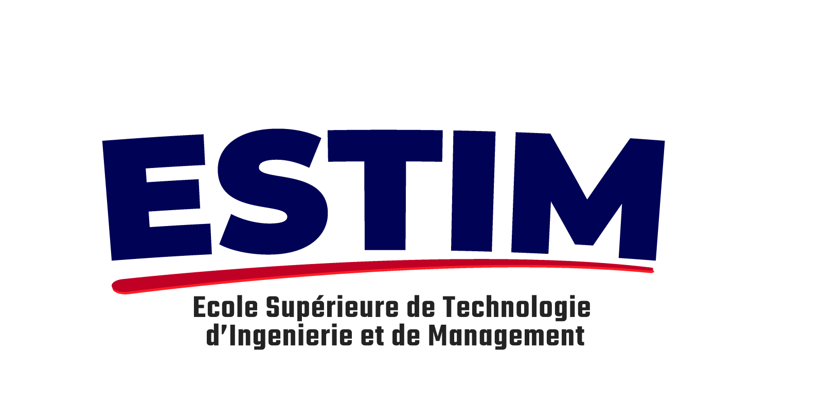 ESTIM Company Logo