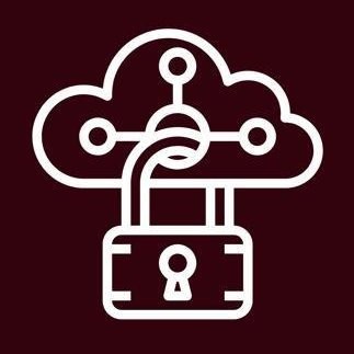 NALA SECURITY CONSULTING Logo