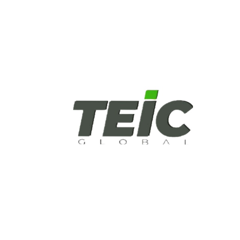 TEIC GLOBAL Logo